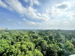 Lakeview Estate (D20), Apartment #566080941